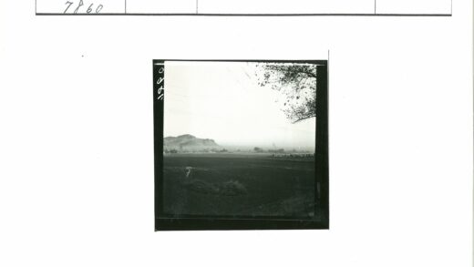 晴空田野远山树枝风景.jpg