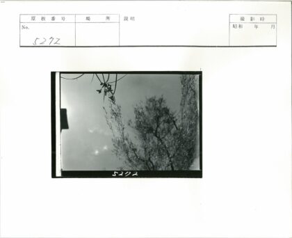 晴空绿树与建筑一角.jpg