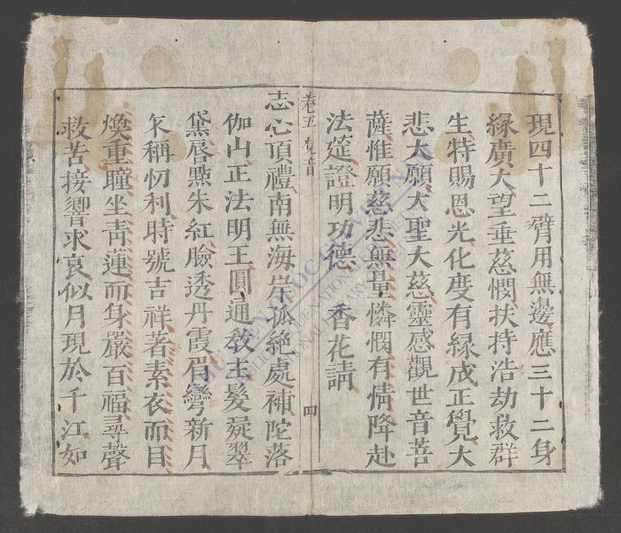 杂醮诸科(q.)-
