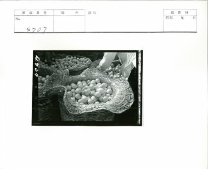 条纹衬衫男子手持苹果篮.jpg