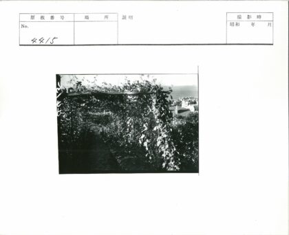 林荫步道眺望海景露台.jpg