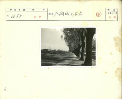 林荫水畔城市风光.jpg