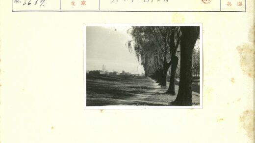 林荫水畔城市风光.jpg
