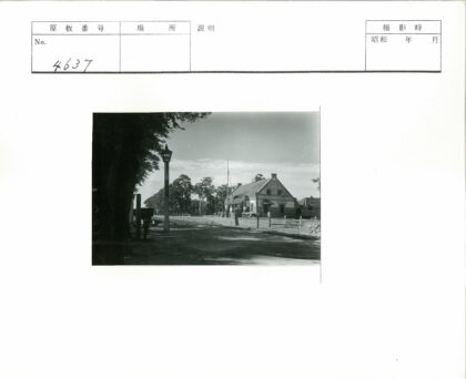 林荫道旁陡顶建筑晴空景色.jpg