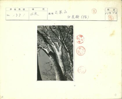 枯枝伸向天空的单色剪影.jpg