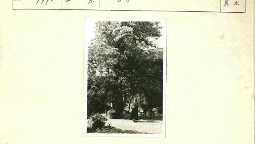 树下花园砖路桌椅.jpg