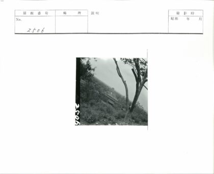 树木与塔建筑风景照.jpg