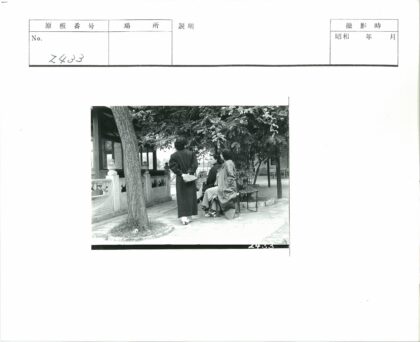 树荫下三人休憩的石栏建筑.jpg