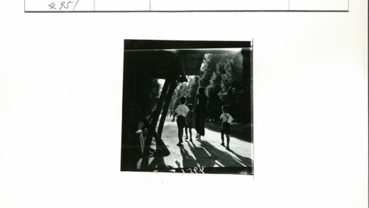 树荫小路漫步.jpg