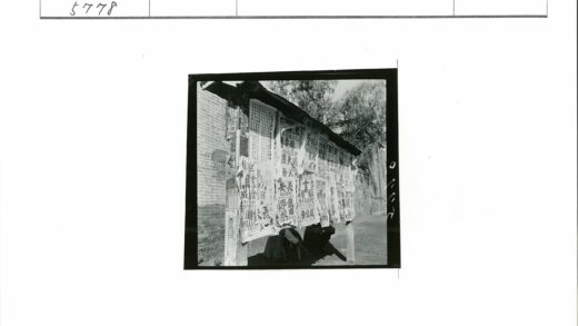 树荫砖墙下的文字海报展.jpg