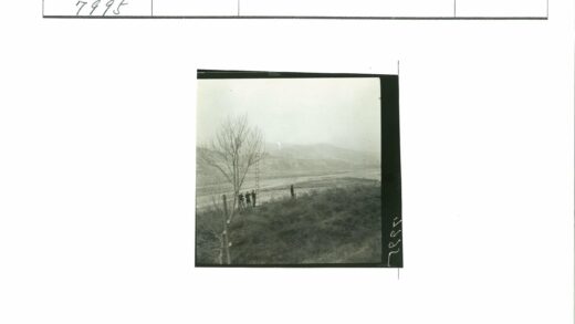梯子树旁原野远山.jpg