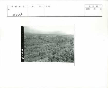 梯田农场与远山风景.jpg
