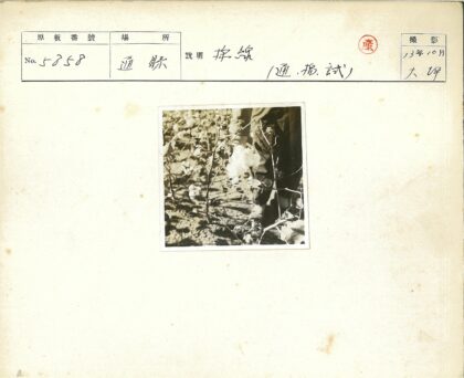 棉田采摘劳动者纪实.jpg