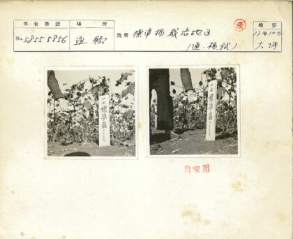 棉田采摘工人与外语标牌.jpg