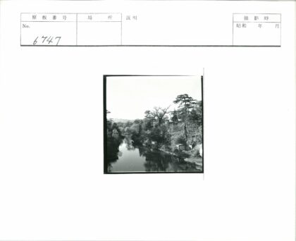 森林河流与远山自然景观.jpg