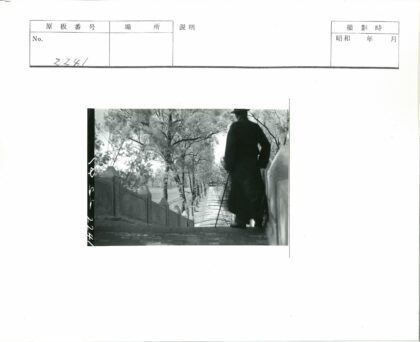 楼梯俯瞰绿荫小路.jpg