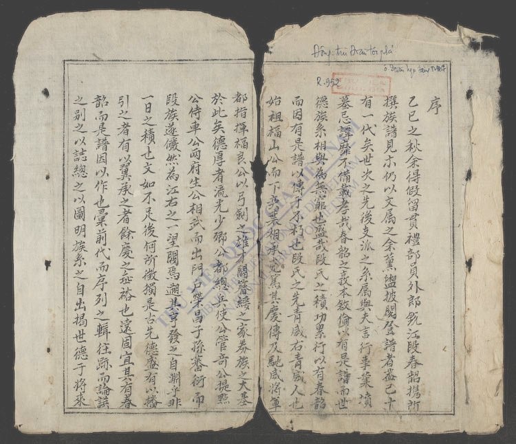 段族谱-