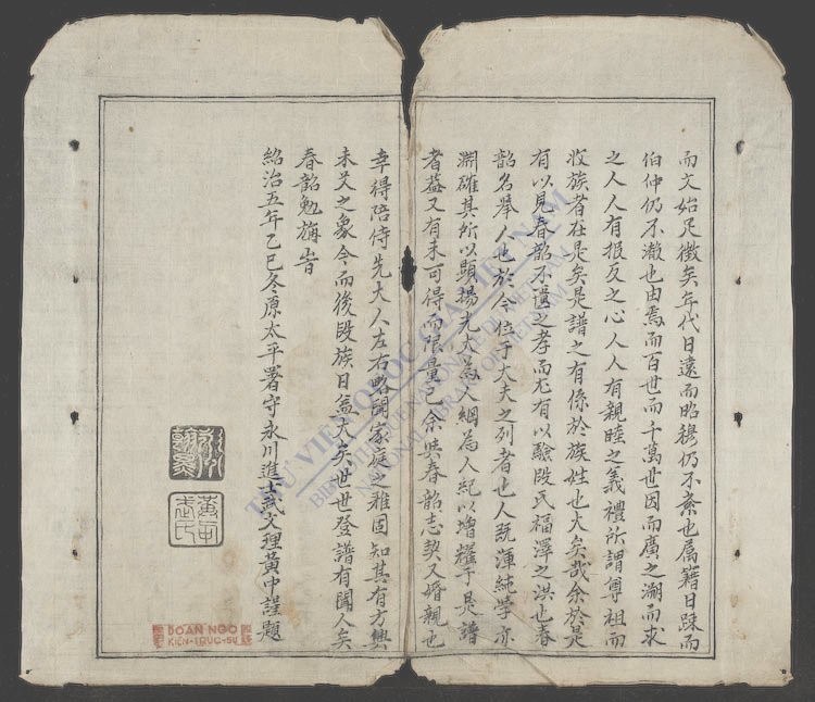 段族谱-