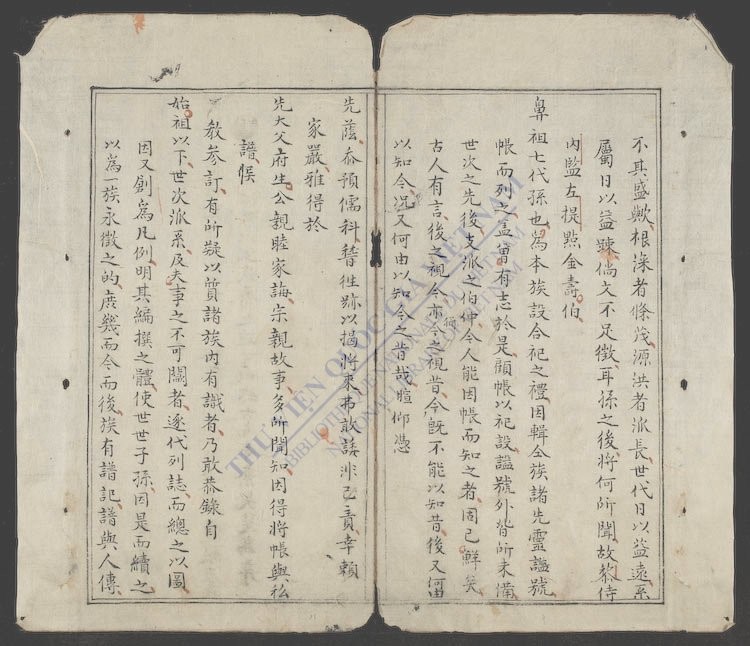 段族谱-