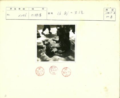 母亲喂小孩树下生活场景.jpg