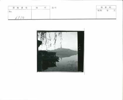 水岸垂柳与远山古建.jpg