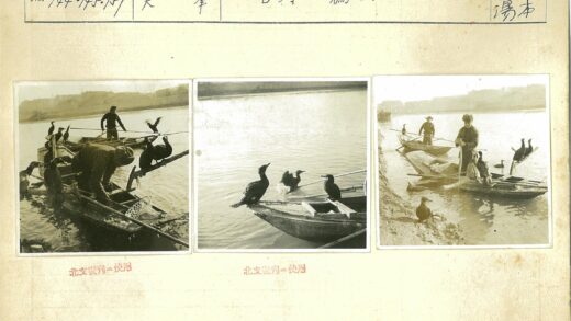 水畔旧船三鸟栖.jpg