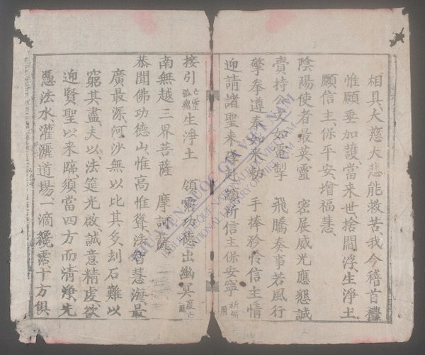 水陆诸科(q.)-