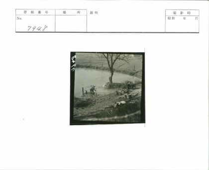 池塘边劳作与休憩.jpg