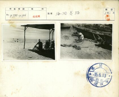 沙滩树荫与海中游泳的人们.jpg