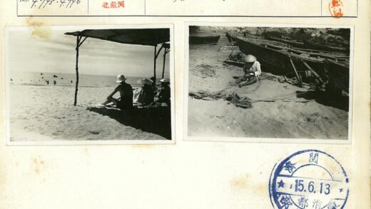 沙滩树荫与海中游泳的人们.jpg