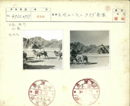 沙漠骆驼骑手与长城山脉.jpg