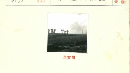 沟壑田地平原风光.jpg