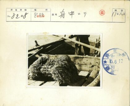 沧桑木船与海藻船桨人影.jpg