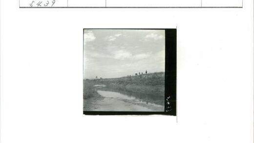 河岸倒影散步风光.jpg