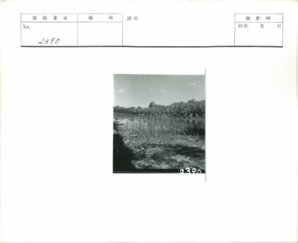 河畔古建与宁静风光.jpg