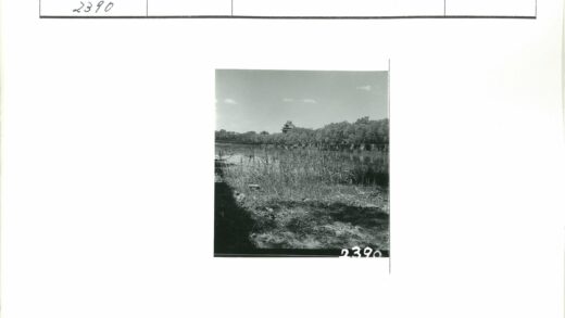 河畔古建与宁静风光.jpg