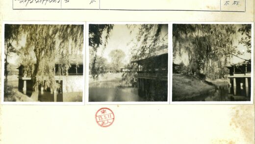 河畔绿树传统建筑风光.jpg