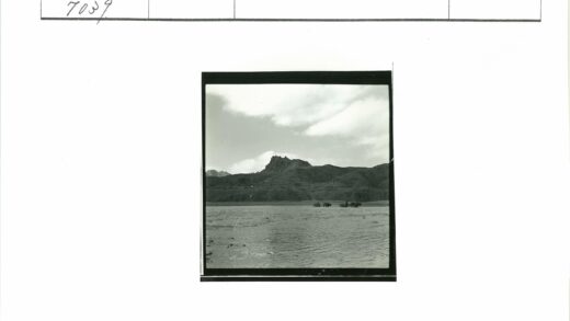 河边马群与马车山景.jpg