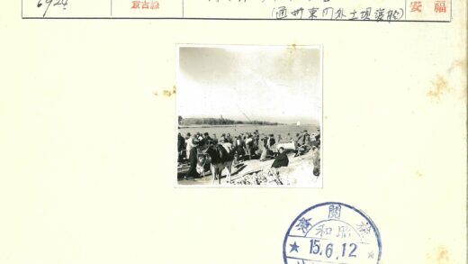 河边驴车与远方的建筑.jpg