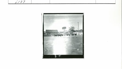 泥泞地上的狗与古建筑.jpg