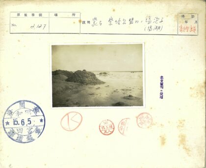 泥泞地形与朦胧天空景观.jpg