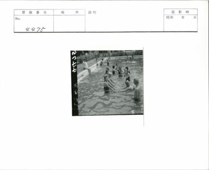 泳池夏日欢乐时光.jpg