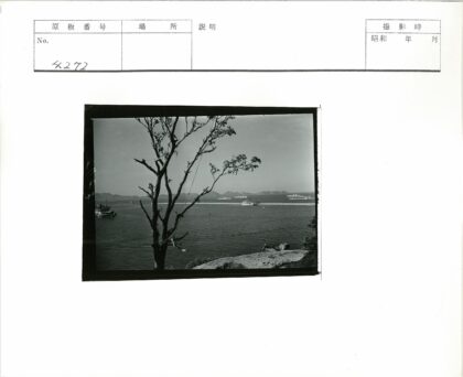 海上船只远山树景.jpg