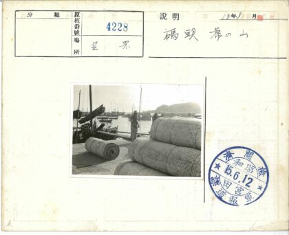 海滨码头船只与人群.jpg