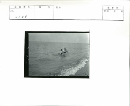 海滩浅水嬉戏三人组.jpg