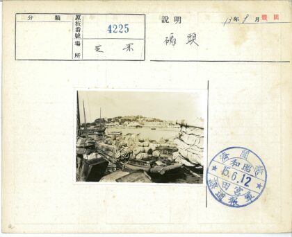 渔港繁忙海岸村庄景色.jpg