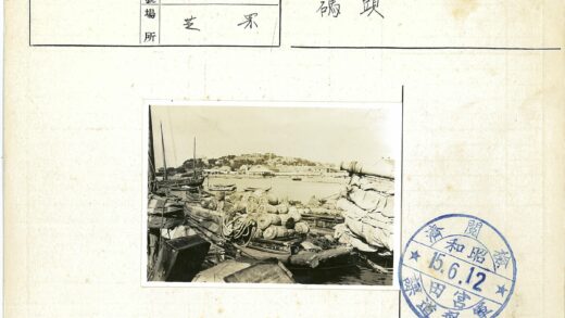 渔港繁忙海岸村庄景色.jpg