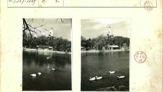 湖中白鸭与宝塔.jpg