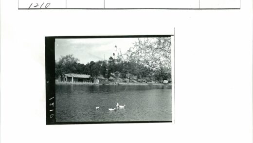 湖畔四鹅游传统建筑景.jpg