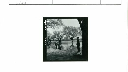 湖畔晴空下的树与建筑.jpg